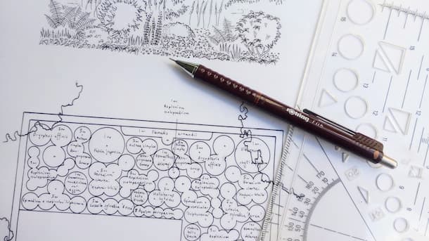 Planting plan for courtyard garden